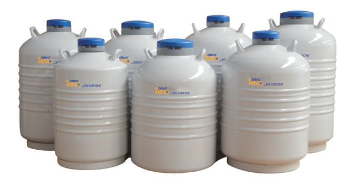 20L 31.5L 35.5L 50L Special Transport Series liquid nitrogen container 20L 31.5L 35.5L 50L Special Transport Series liquid nitrogen container