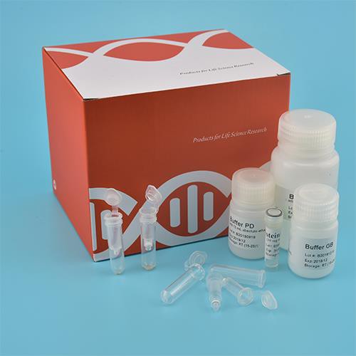 Pinnase genoomse DNA komplekt (tsentrifuugikolonn)
