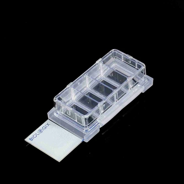 4 Wells Cell Culture Slides